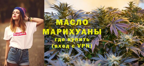 стаф Аркадак