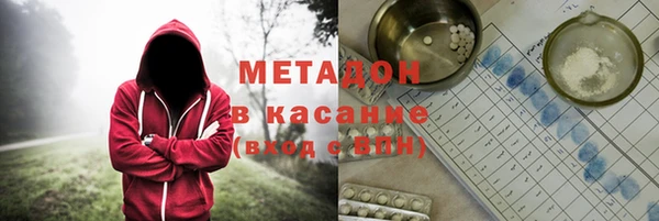 стаф Аркадак