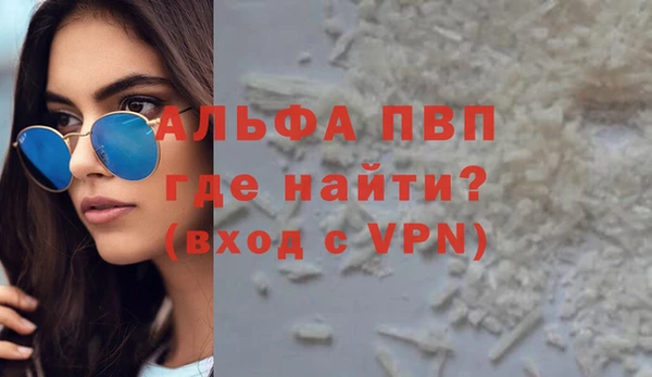 стаф Аркадак