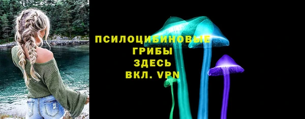стаф Аркадак