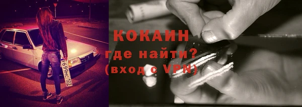 стаф Аркадак
