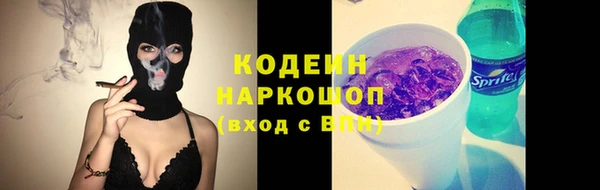 стаф Аркадак