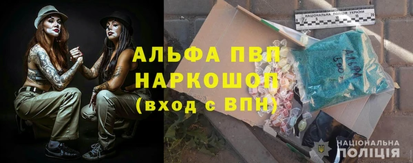 гашик Арсеньев